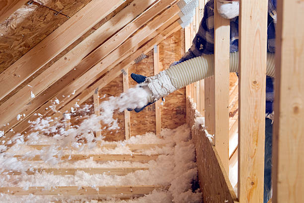 Types of Insulation We Offer in Waihee Waiehu, HI